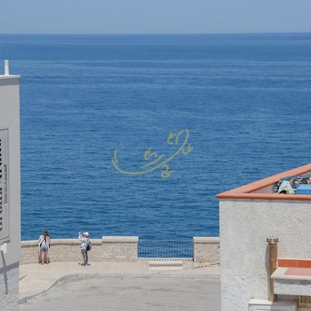 הוילה פולינאנו א מארה Td Casa Marevino Seaside Terrace With Panoramic Views מראה חיצוני תמונה